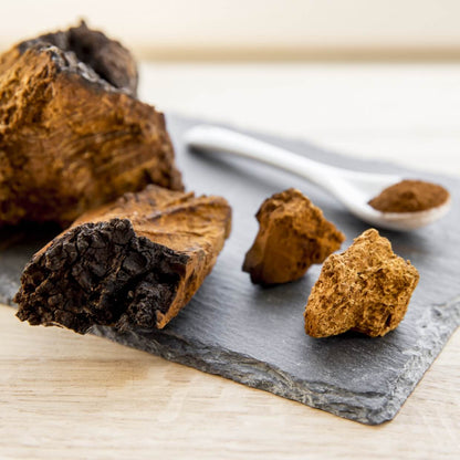 Chaga
